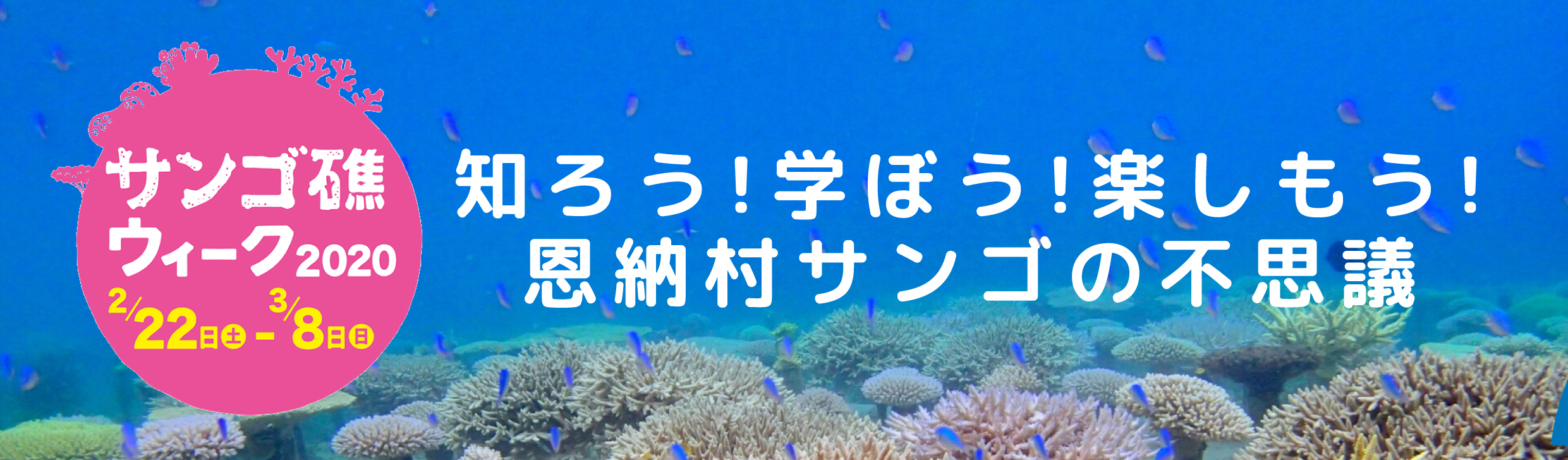 お知らせ 開催中止のお知らせ 知ろう 学ぼう 楽しもう 恩納村サンゴの不思議 公式 恩納村観光協会webサイト